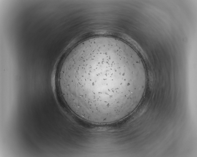 X0000101470482200807281022