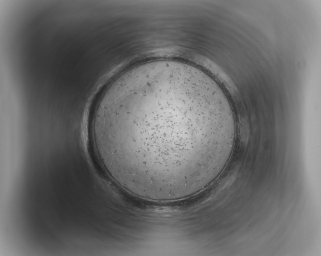 X0000101470486200807281022