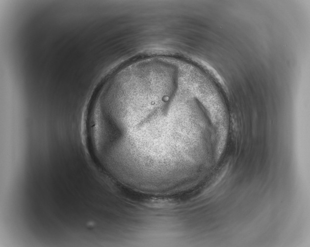 X0000101470487200807281022