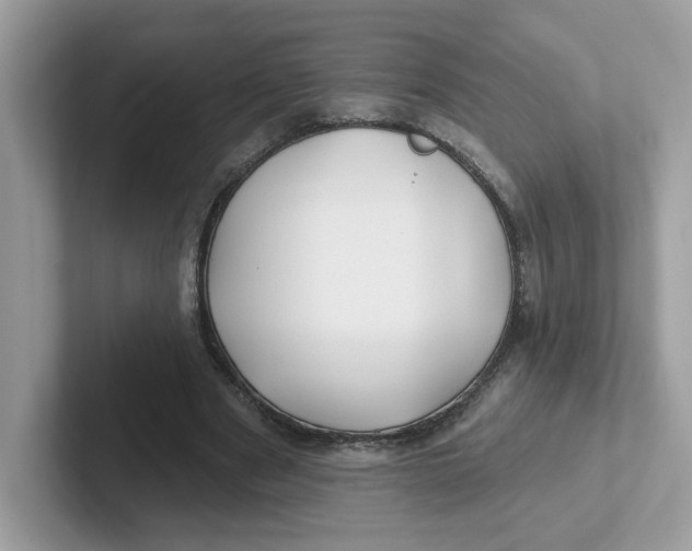 X0000101470489200807281022