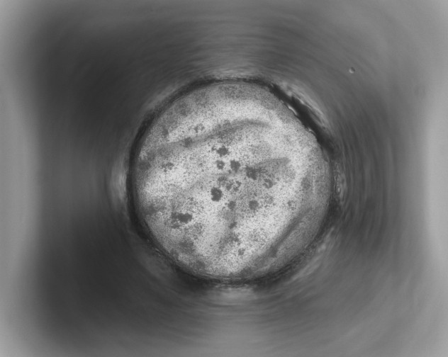 X0000101470491200807281022