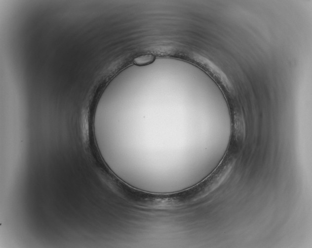 X0000101470493200807281022