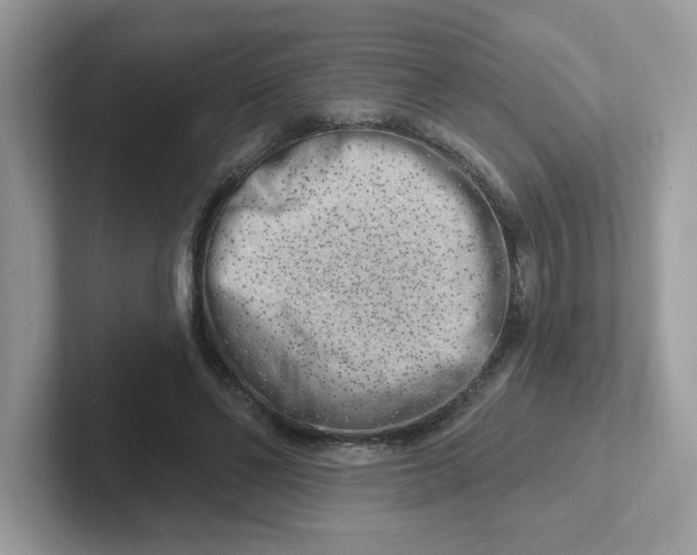 X0000101470494200807281022