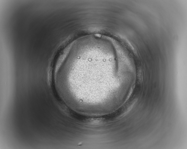 X0000101470495200807281022