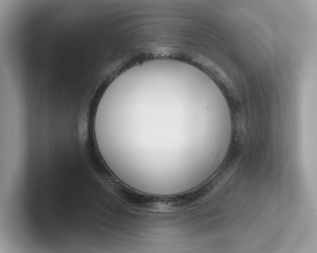 X0000101470496200807281022