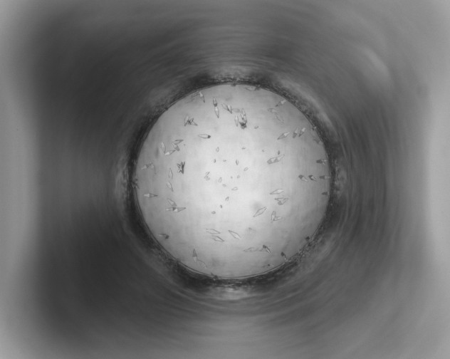 X0000101470498200807281022