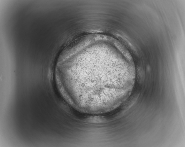 X0000101470499200807281022