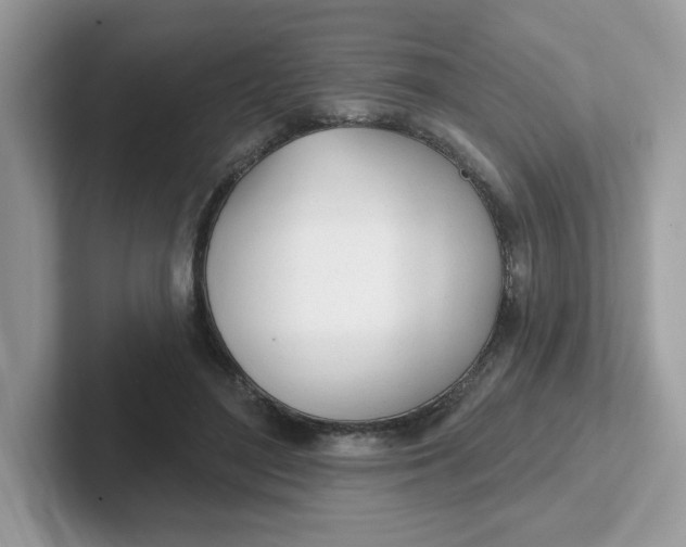 X0000101470500200807281022