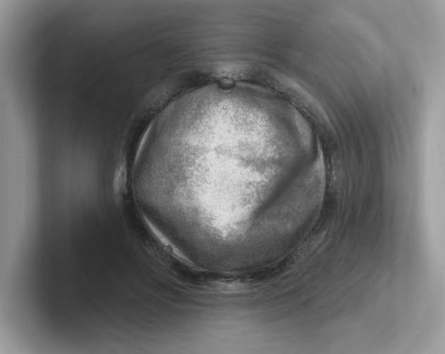 X0000101470502200807281022