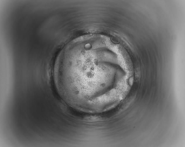 X0000101470503200807281022