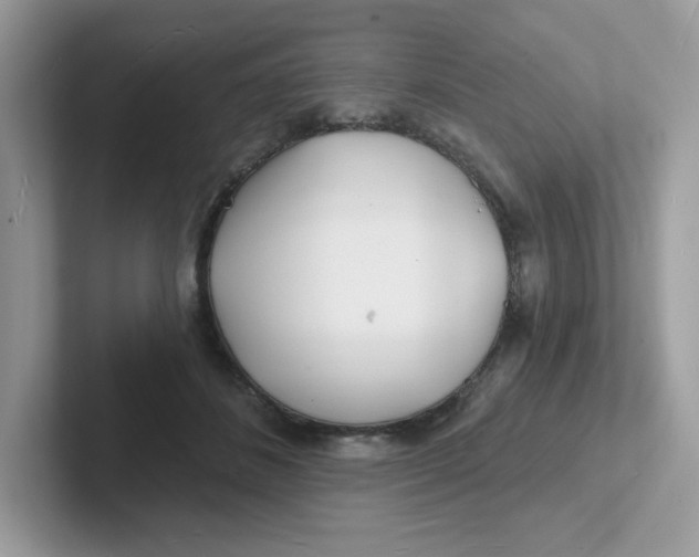 X0000101470508200807281022