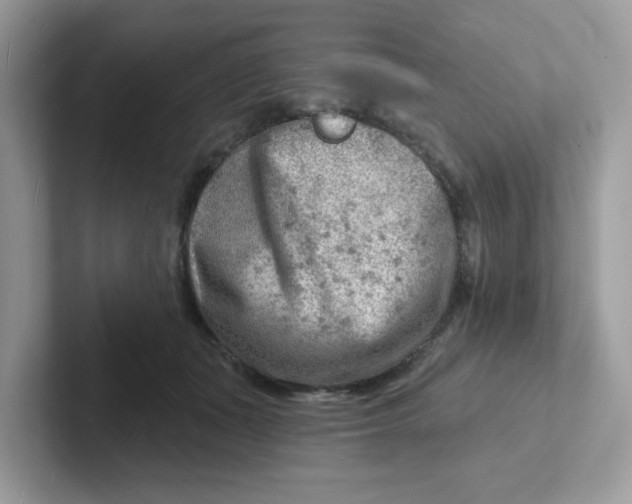 X0000101470511200807281022