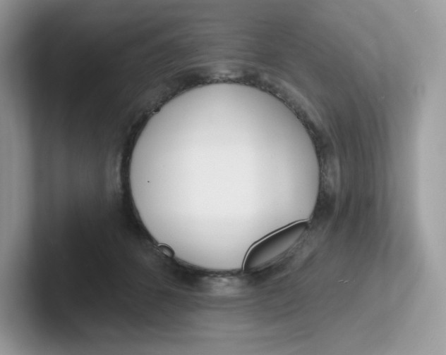 X0000101470512200807281022