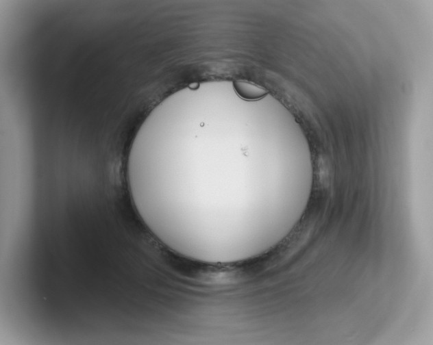 X0000101470514200807281022