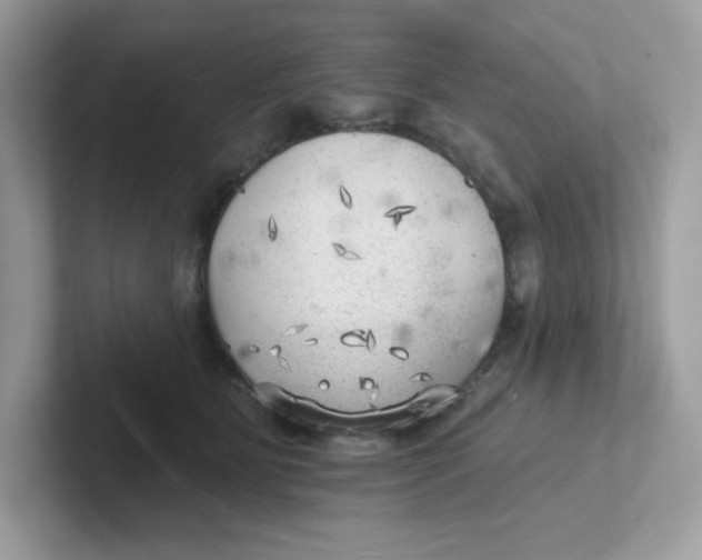 X0000101470515200807281022