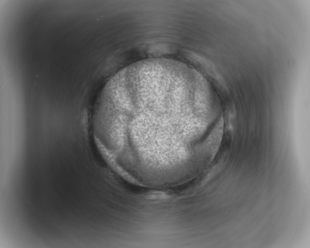 X0000101470519200807281022