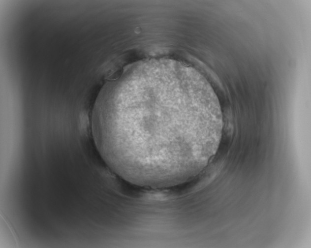 X0000101470523200807281022