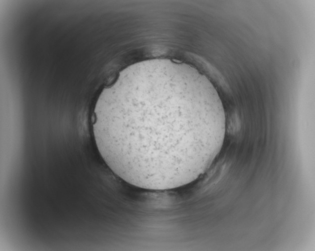 X0000101470524200807281022