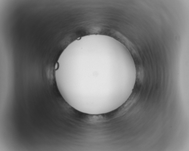 X0000101470525200807281022