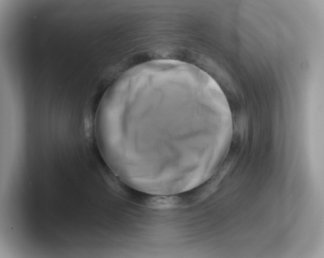 X0000101470526200807281022