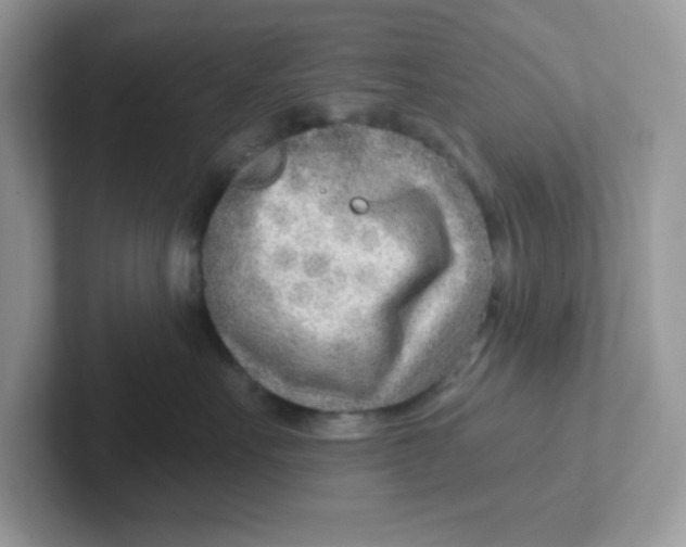 X0000101470527200807281022