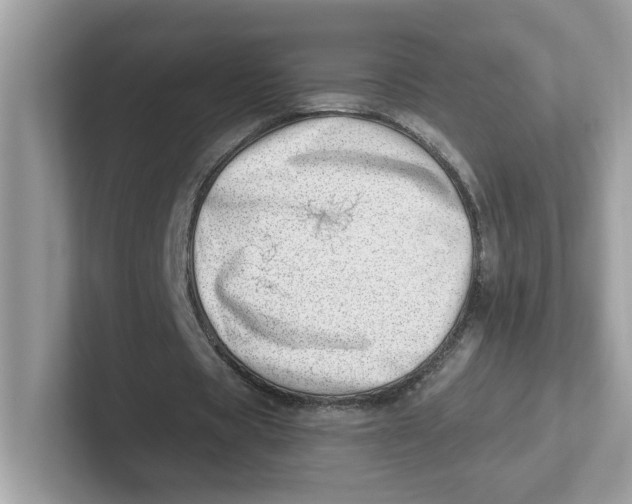 X0000101470529200807281021