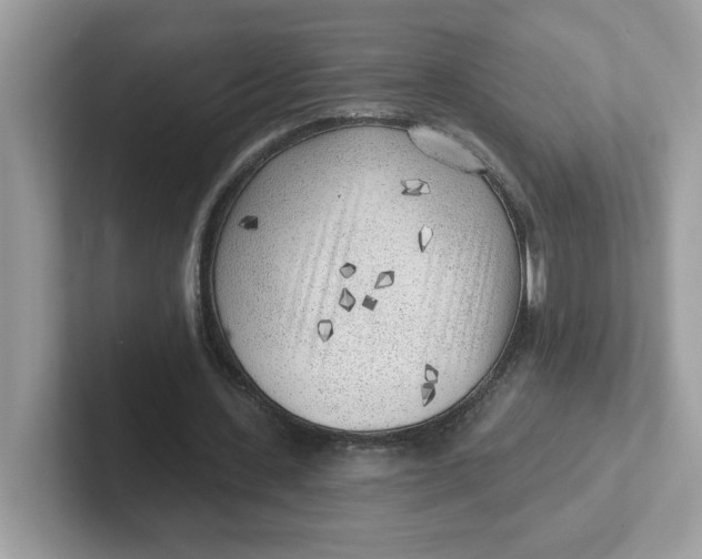 X0000101470531200807281021