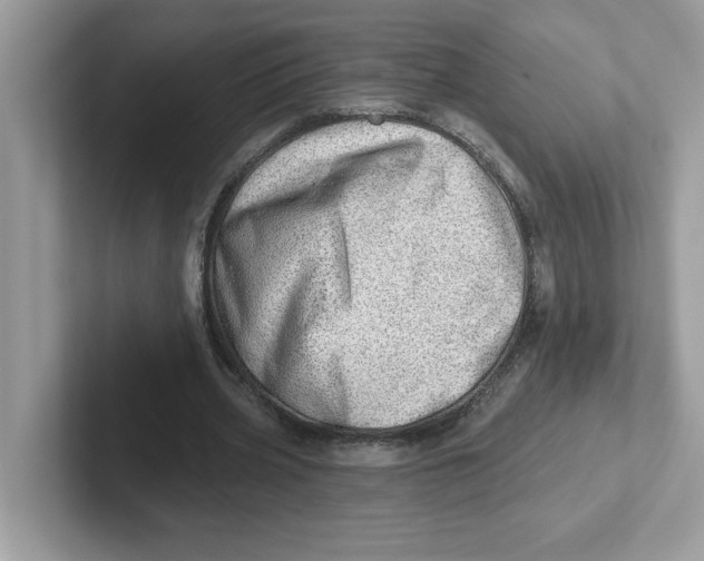 X0000101470533200807281021