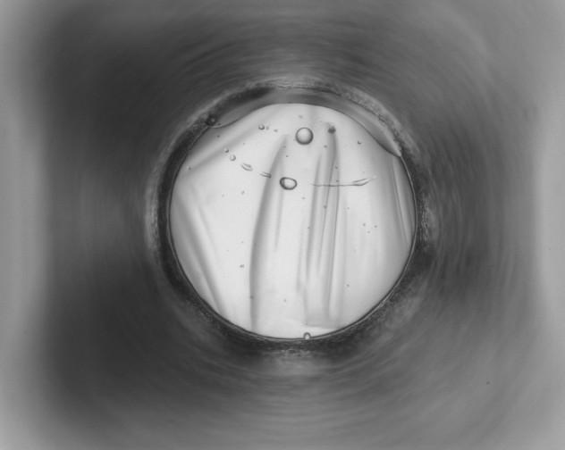 X0000101470535200807281021