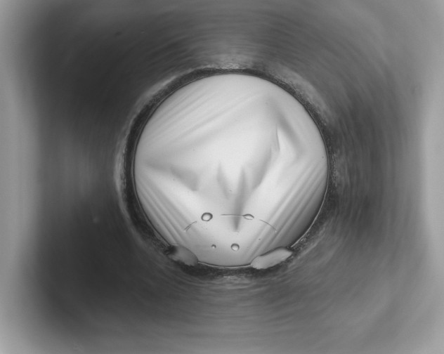 X0000101470536200807281021