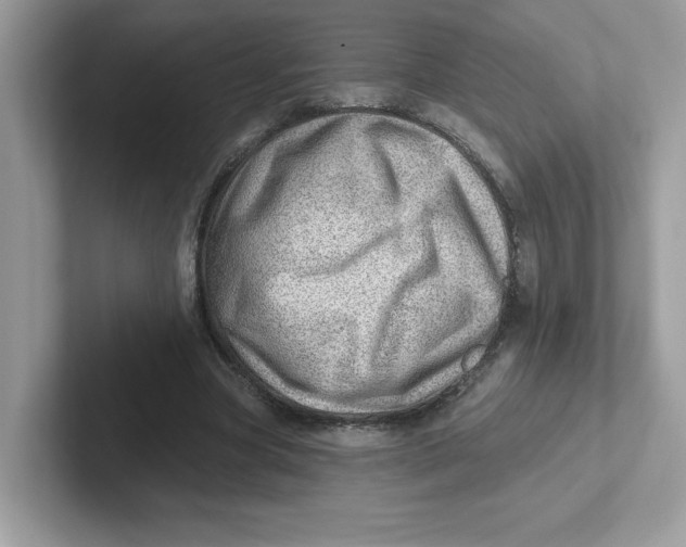 X0000101470537200807281021