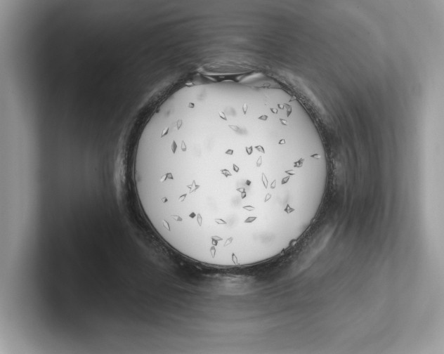 X0000101470539200807281021