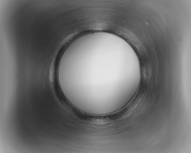 X0000101470540200807281021