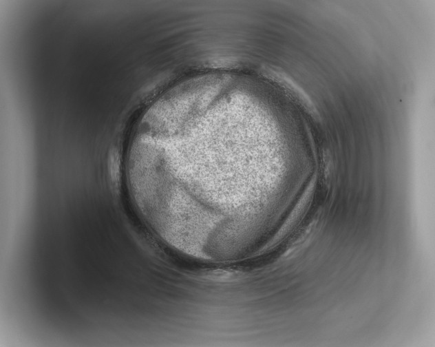 X0000101470542200807281021