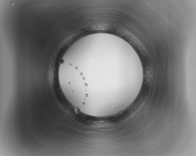 X0000101470544200807281021