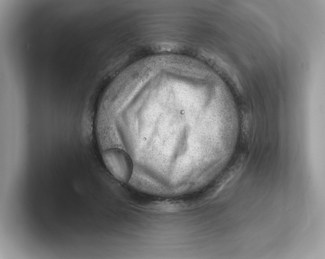 X0000101470545200807281021