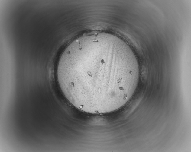 X0000101470547200807281021