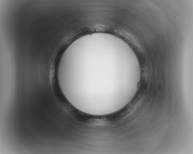 X0000101470548200807281021