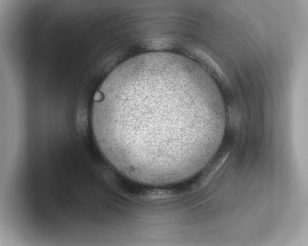 X0000101470549200807281021