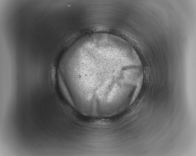 X0000101470550200807281021