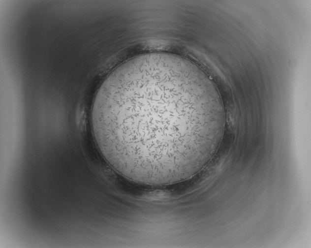 X0000101470551200807281021