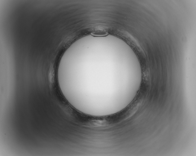 X0000101470552200807281021