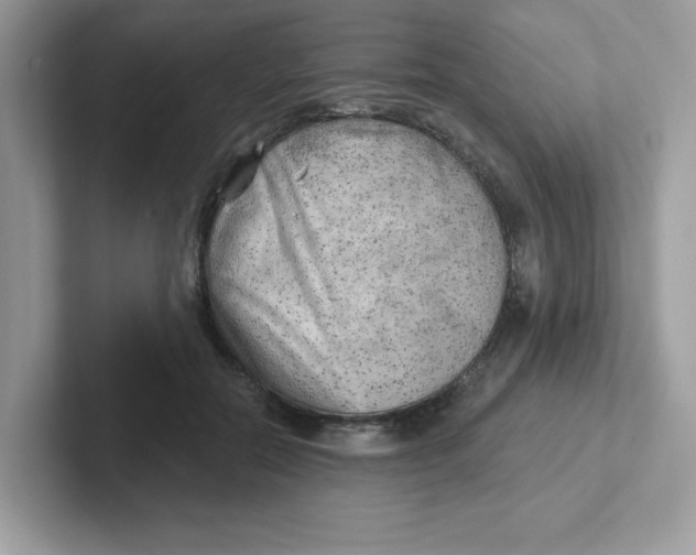 X0000101470554200807281021