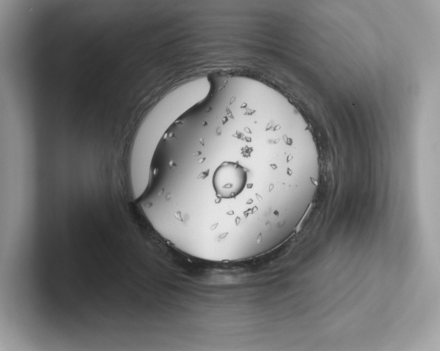 X0000101470556200807281021