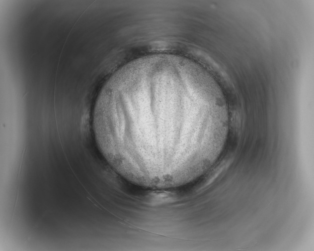 X0000101470557200807281021