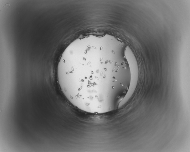 X0000101470558200807281021