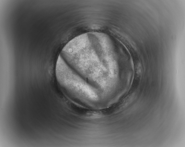 X0000101470559200807281021