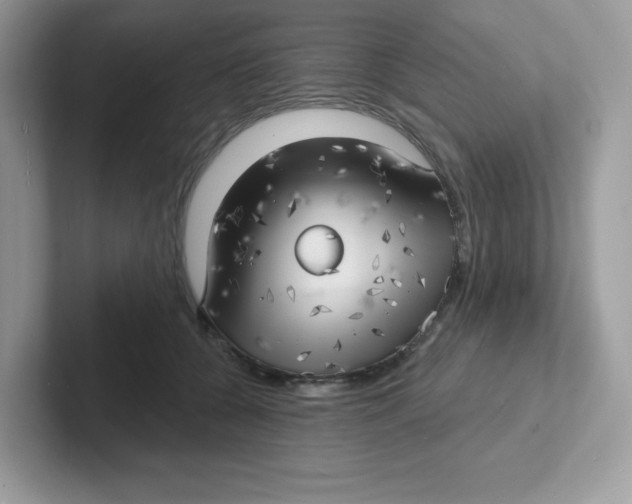 X0000101470560200807281021