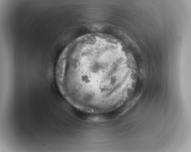 X0000101470561200807281021