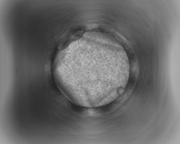 X0000101470565200807281022